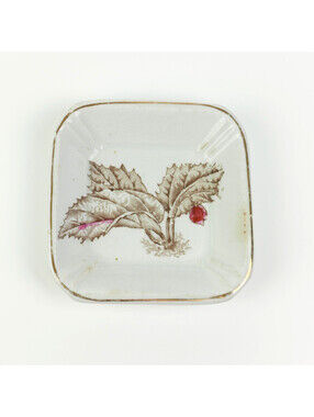 Antique Alfred Meakin Royal Ironstone Botanical Butter Pat Square Dish 1890s